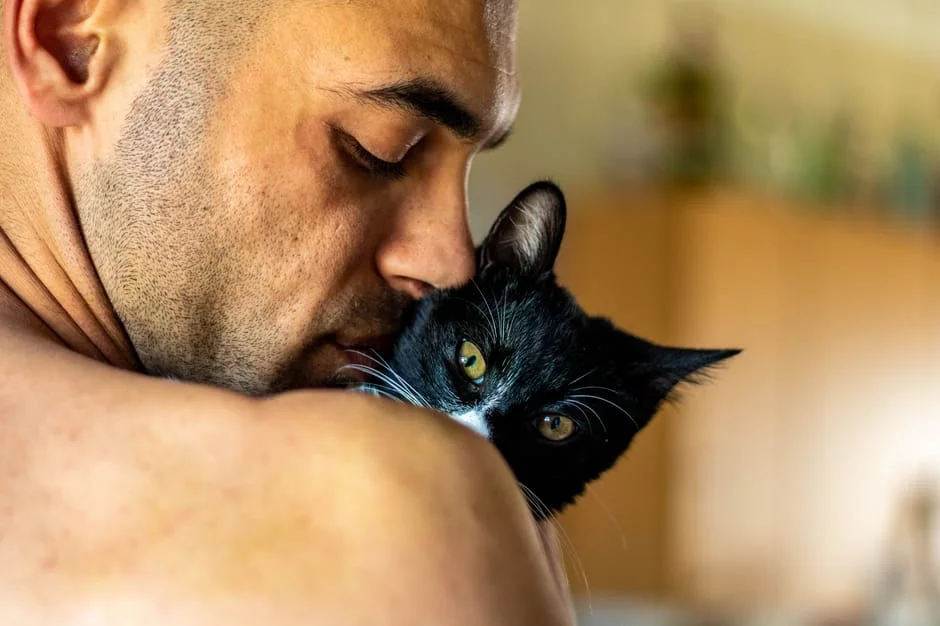 A tabby cat slow blinking at its owner, showing feline affection and trust