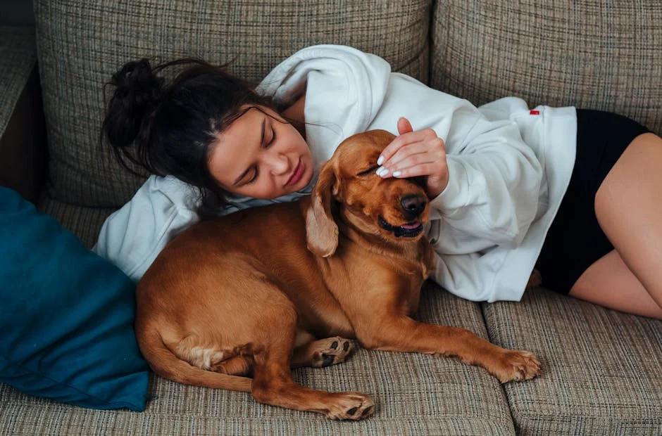 Dog displaying stiff tail wag, a common misinterpreted sign of affection